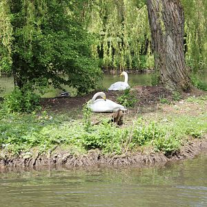 IMG 4197