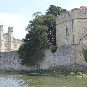 IMG 4200