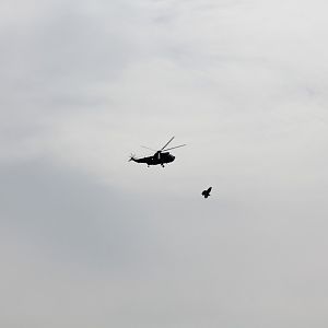 IMG 4246