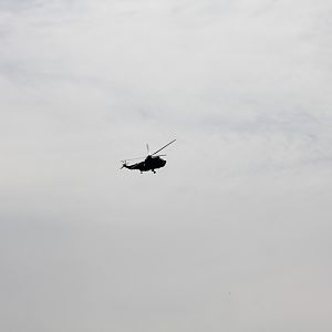 IMG 4247