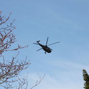 IMG 4252