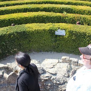 IMG 4302