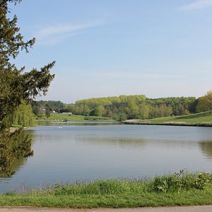IMG 4354