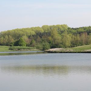 IMG 4356