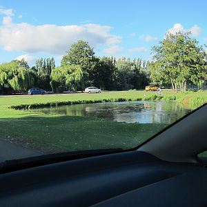 IMG 3584