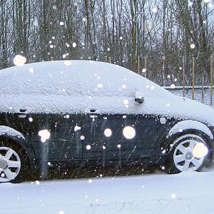 Works well in the snow