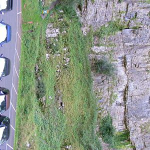 Cheddar Gorge