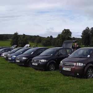 nice line up
