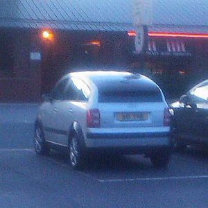 A rare silver colour.storm