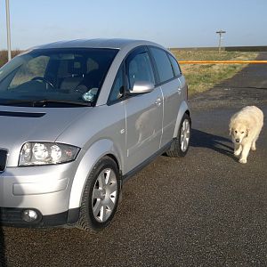 New wheels (and my other beast Maverick lol)