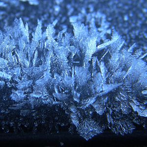 Frost Close-up